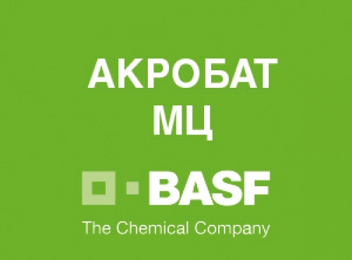 Фунгицид Балинт КС