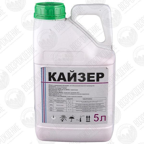 Фунгицид Балинт КС